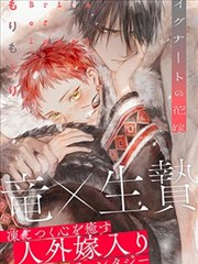 海贼王 漫画免费观看漫画大全